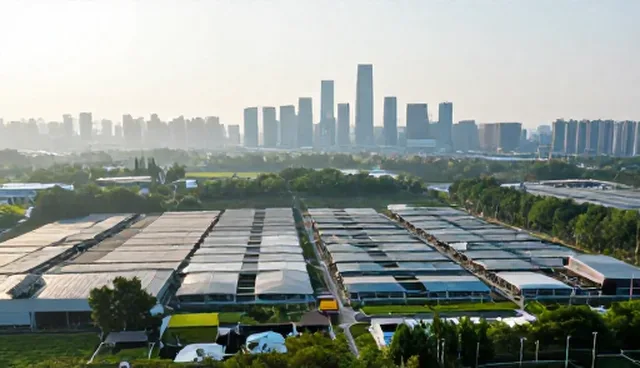 ai提示词交易前景如何,具体因素影响结果原因分析