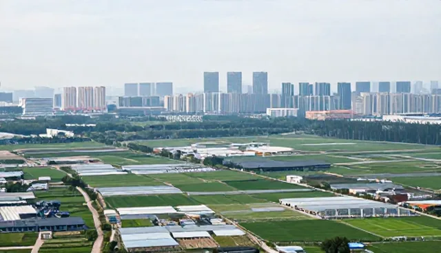 ai提示词交易怎么引流：两种做法对比与取舍