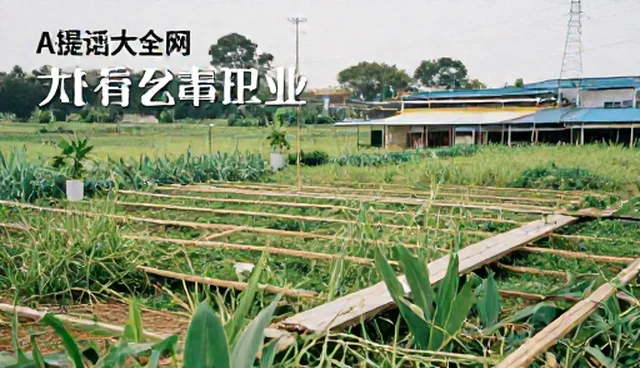 内容对比工具如何提升业务效率,优化内容评估策略