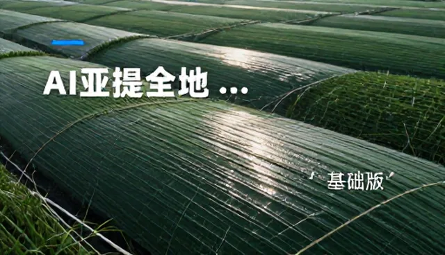 如何高效撰写道歉信提示词?
